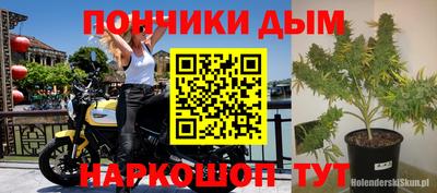 гидра Коммунар