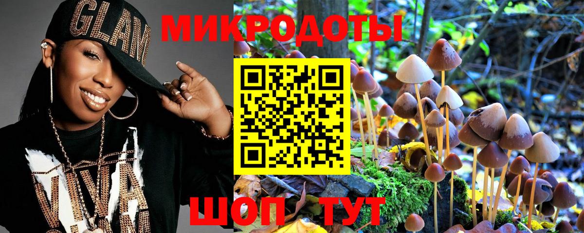 Псилоцибиновые грибы мицелий Кольчугино