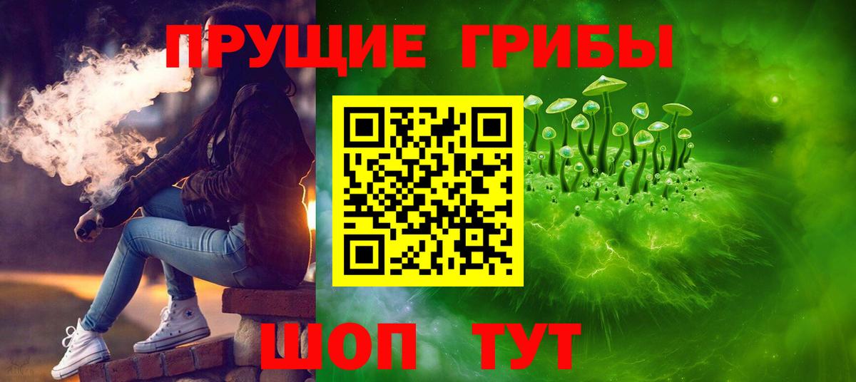 Кольчугино  Псилоцибиновые грибы MAGIC MUSHROOMS  купить наркотики сайты  Вход с VPN 